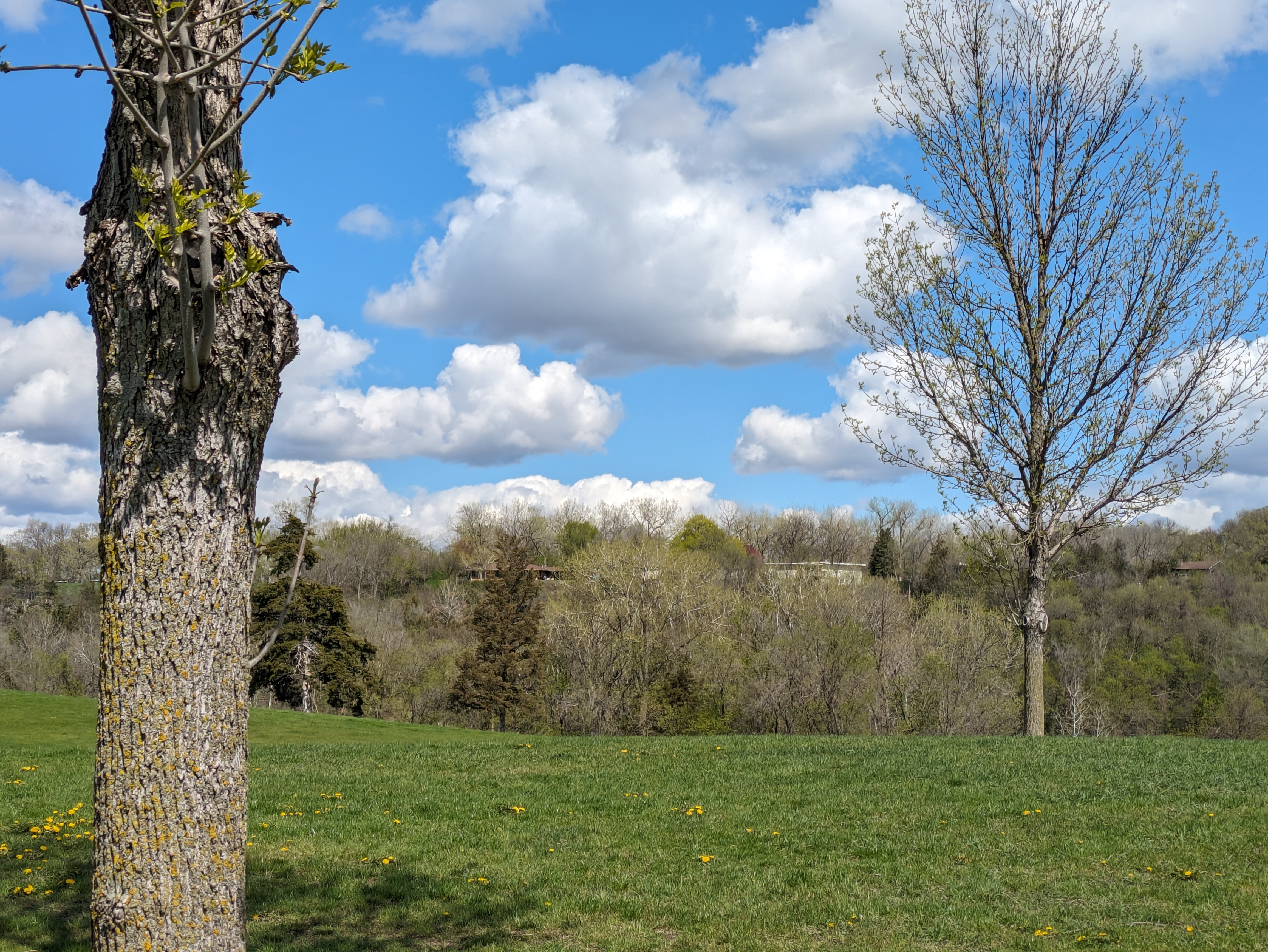 Photo at Redwood Falls Golf Course MN